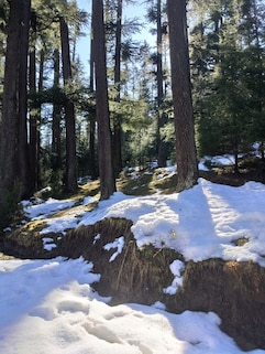 Old Manali Snow Point